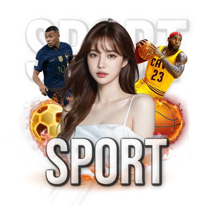 免费体育直播平台app正式版